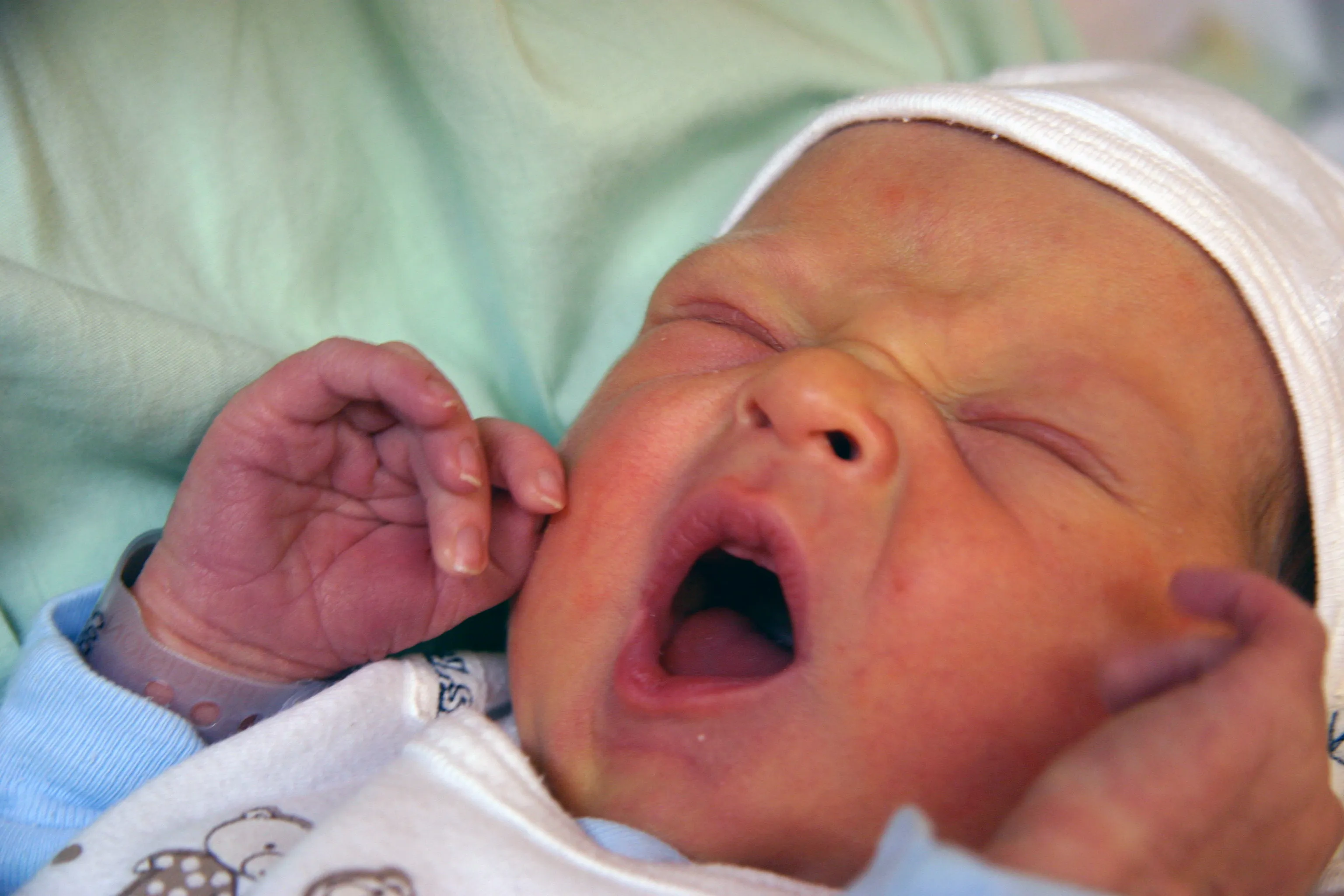 Yawn!