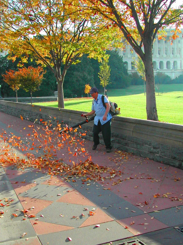 Flick: A New Leaf Overturned Flick: A New Leaf Overturned