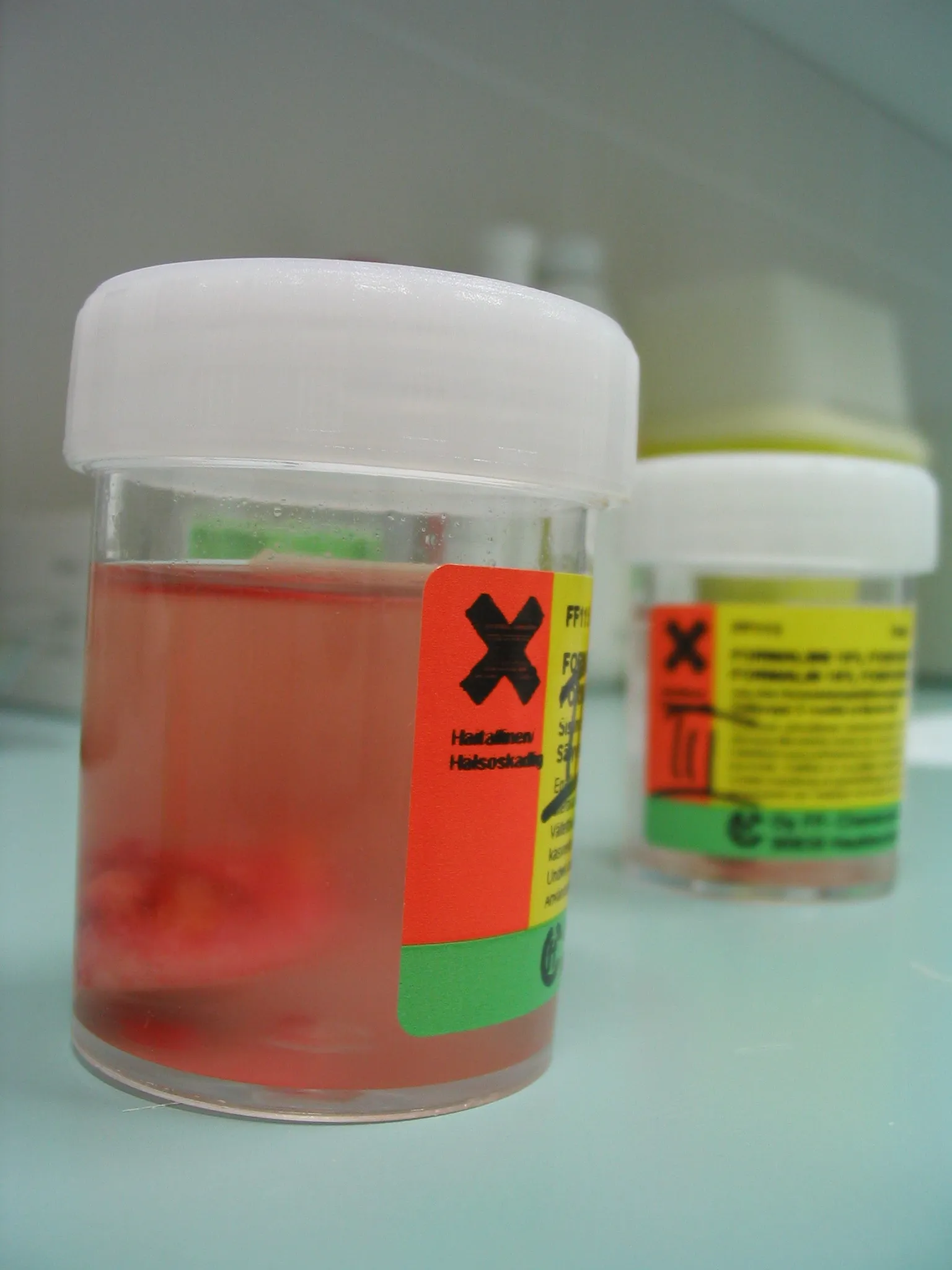 Removed mole in a jar